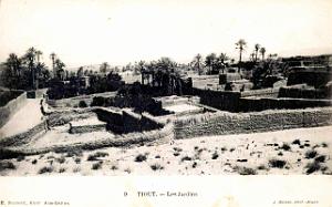 Tiout - Jardins